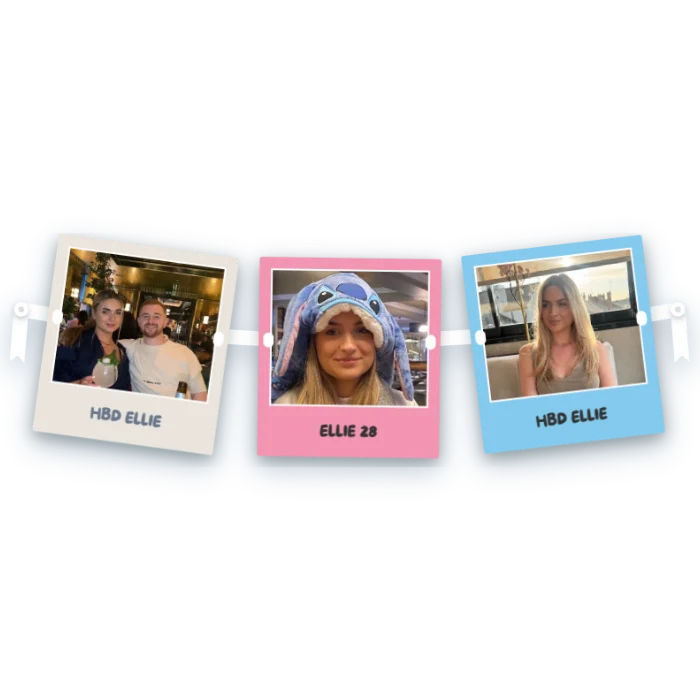 The Polaroids